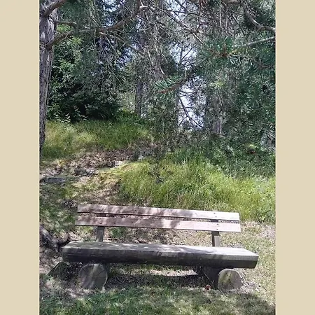 Almidyll Ζέεφελντ